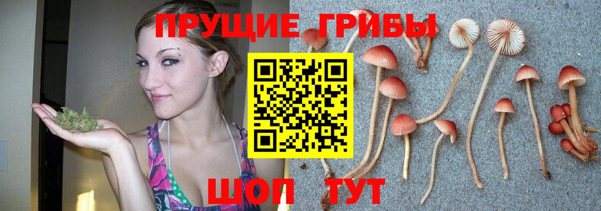 Псилоцибиновые грибы мухоморы Астрахань