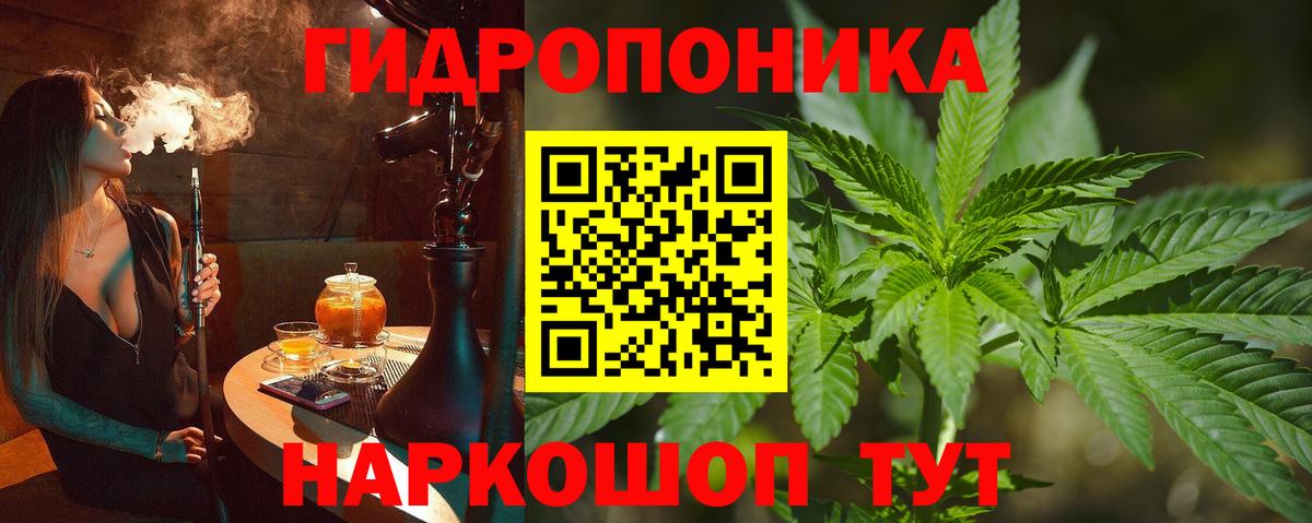 МАРИХУАНА планчик  Марихуана OG Kush  Вход с VPN  Марихуана Bruce Banner  Бошки Шишки сатива  Астрахань 